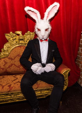 фото зайца в классическом костюме на прокат