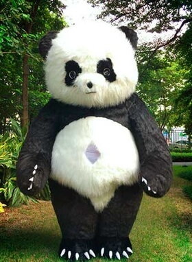 заказать аниматора в костюме панды|| 